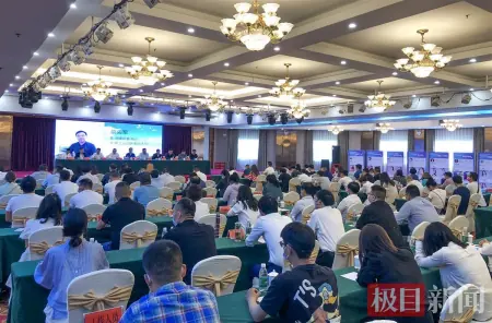湖北“非织造布产业第一市”借助电商平台扬帆出海
第1张
湖北“非织造布产业第一市”借助电商平台扬帆出海
第1张